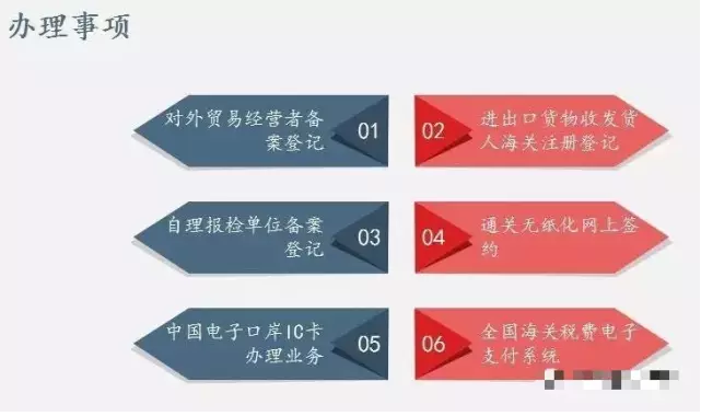 企業進出口資質辦理指南